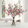 Bouquet de magnolias