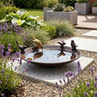 Abreuvoir pour oiseaux