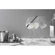 Verre à gin, lot de 2 pièces