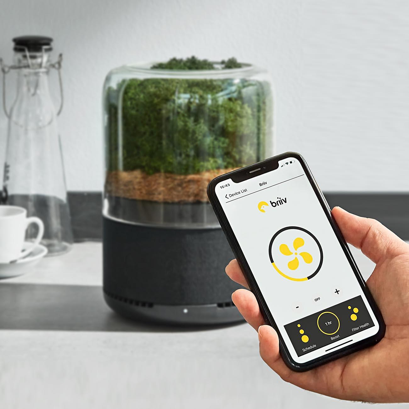 Assainisseur d’air naturel | 3 Jahre Garantie | Pro-Idee