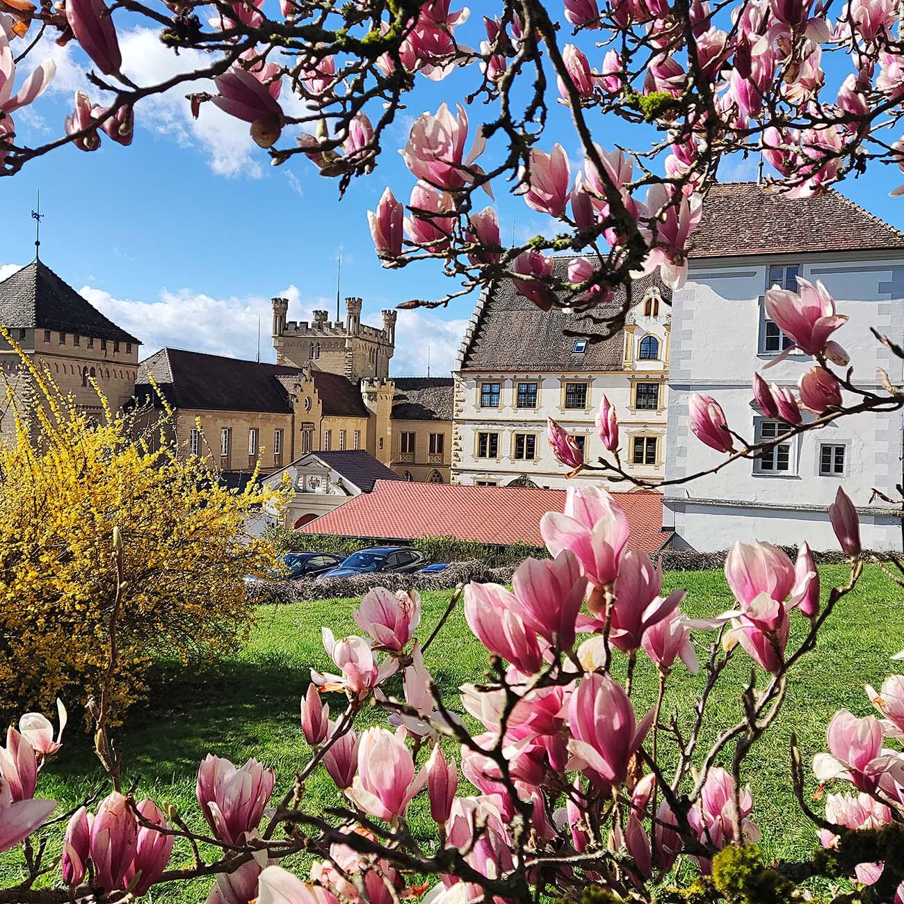 Induction Casseroles en cuivre mit 3 Jahren Garantie