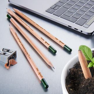 Crayons végétaux durables, lot de 5 pièces Super crayons végétaux aux graines d’herbes et de fleurs. Durables, respectueux de l’environnement et beaux.