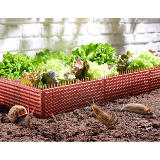 Clôture anti-limaces entourée de légumes frais dans le jardin.