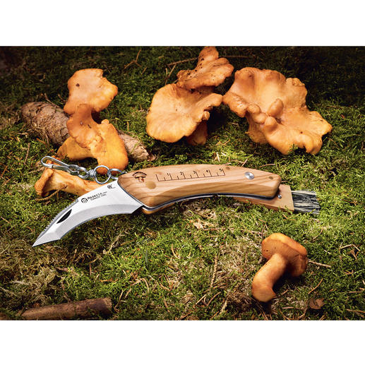 Couteau à champignons Maserin Le couteau à champignons rabattable. Manche en bois d’olivier luxueux, ultra résistant. Forme ergonomique.
