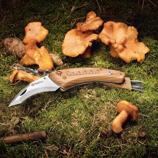 Couteau à champignons Maserin avec manche en bois sur le sol forestier