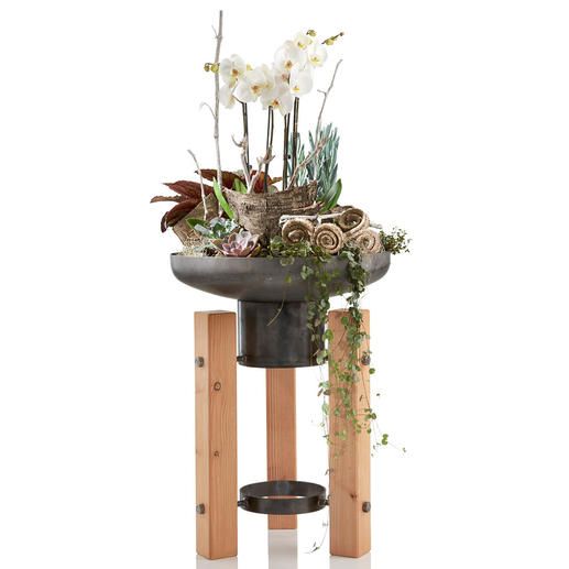 Particulièrement esthétique pour les plantations surélevées en terrasse, sur un balcon ou dans une entrée. Particulièrement esthétique pour les plantations surélevées en terrasse, sur un balcon ou dans une entrée.