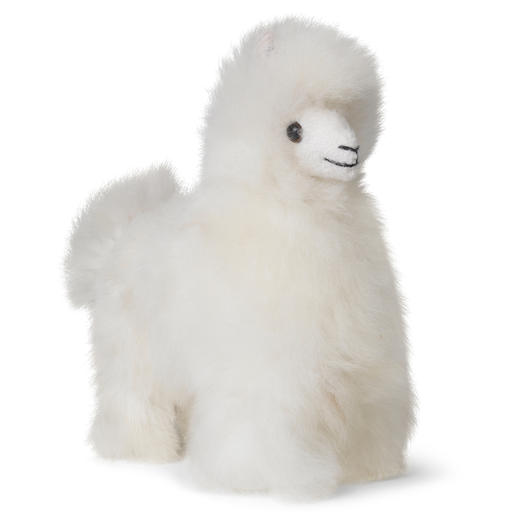 Blanc crème Blanc crème
