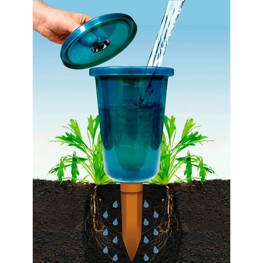 Assistant d’irrigation Hydro Cup, lot de 4 Simple, économe, efficace.