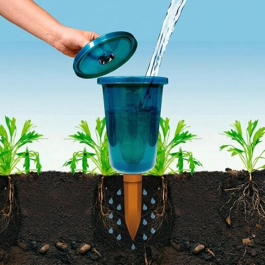 Hydro Cup outil d'arrosage avec de l'eau au-dessus d'une plante.