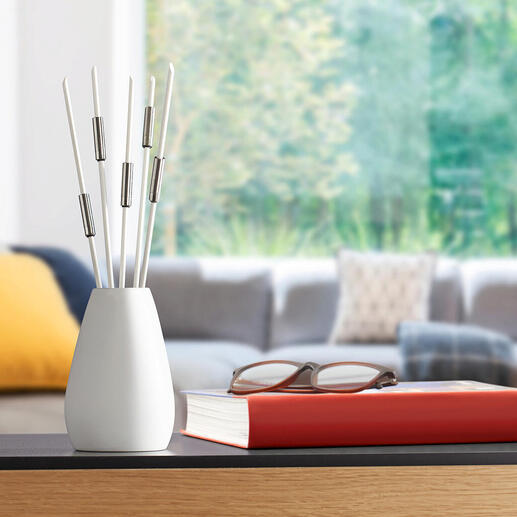 Bâtons désodorisants dans une pièce moderne sur une table.