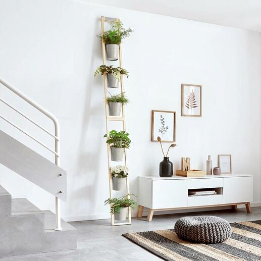 Échelle à plantes avec plusieurs pots contre un mur blanc