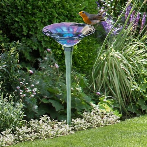 Bain de oiseaux en verre arc-en-ciel avec un oiseau qui s'y perche.