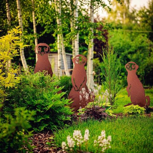 Ensemble de piquets de jardin suricates dans un jardin avec diverses plantes.