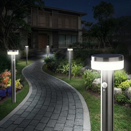 Lampes de jardin solaires intelligentes le long d'un chemin dans un jardin la nuit.