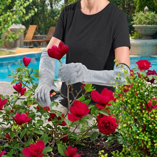 Jardinier avec des gants de jardinage Safety coupant une fleur.