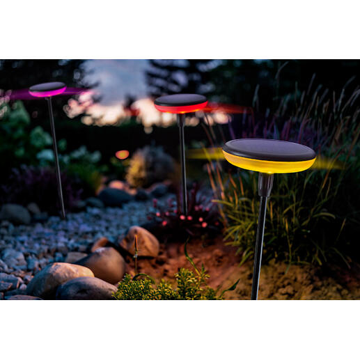 Lampes solaires avec changement de couleurs, lot de 3 pièces Une danse fascinante de lumières et de couleurs : les lampes solaires oscillantes pour votre jardin. Exclusivement chez Pro-Idée.