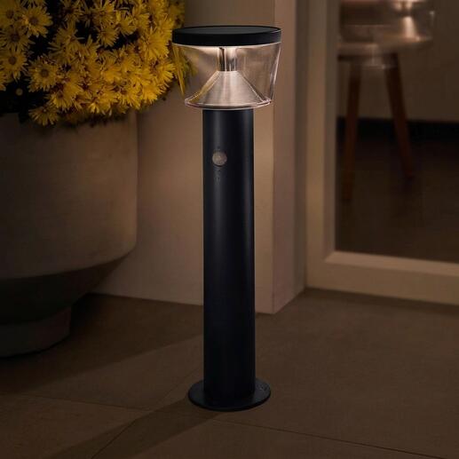 Lumière de sol solaire avec un abat-jour transparent dans le jardin