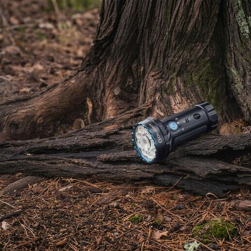 Lampe de poche compacte sur une souche dans la forêt.