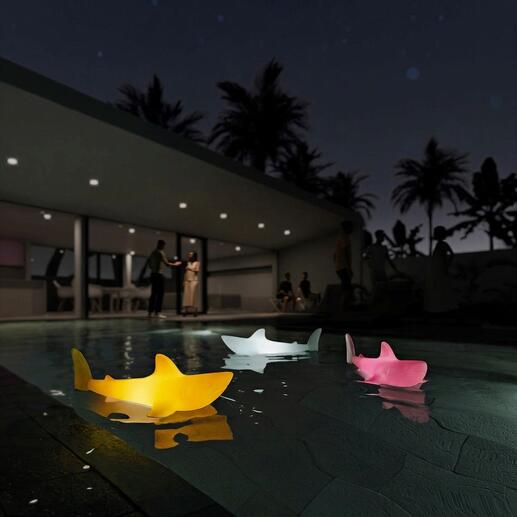 Luminaires en forme de requin colorés flottant dans la piscine la nuit