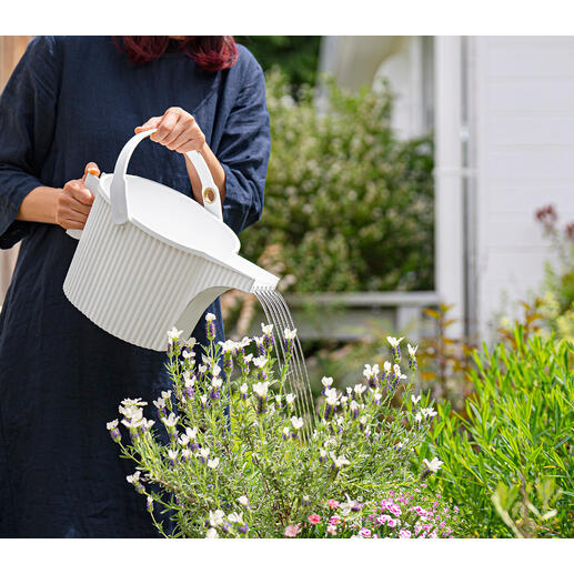 Arrosoir Femme arrose des fleurs avec un arrosoir dans le jardin