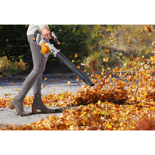 Personne utilisant un souffleur à feuilles à batterie dans le jardin