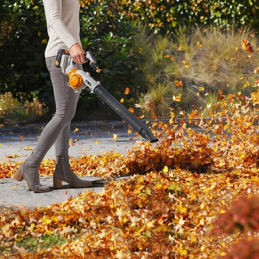 Personne utilisant un souffleur à feuilles à batterie dans le jardin