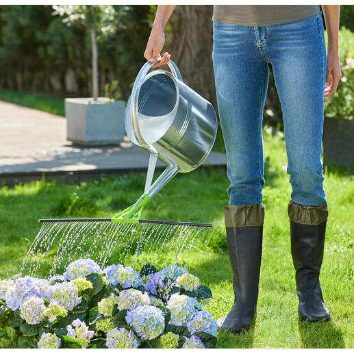 Une personne arroge des plantes dans le jardin avec un arrosoir.