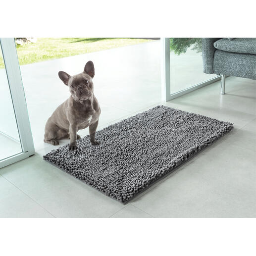 Chien sur un tapis de nettoyage pour animaux devant une porte vitrée.