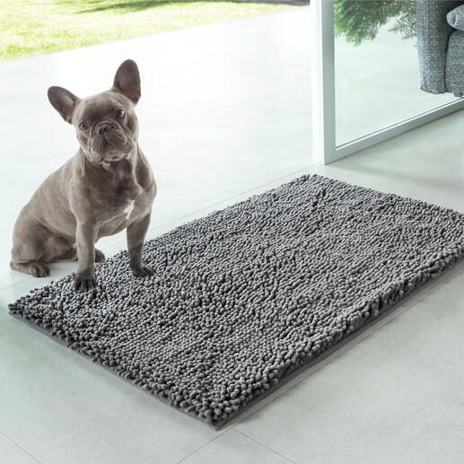 Chien sur un tapis de nettoyage pour animaux devant une porte vitrée.