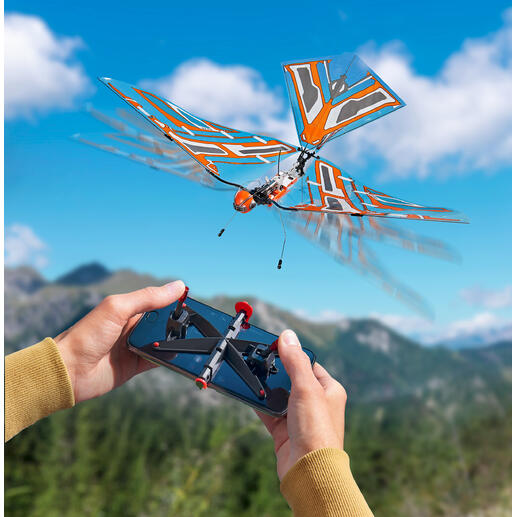 Modèle contrôlé à distance d'un insecte volant avec une structure d'aile orange.