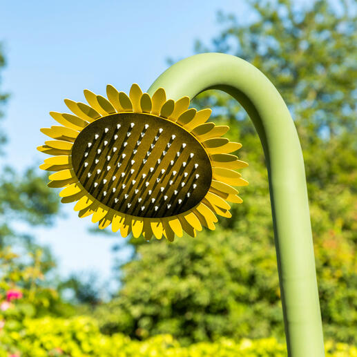 Le pommeau de douche de 30 cm de diamètre est décoré tout autour de pétales jaune vif.