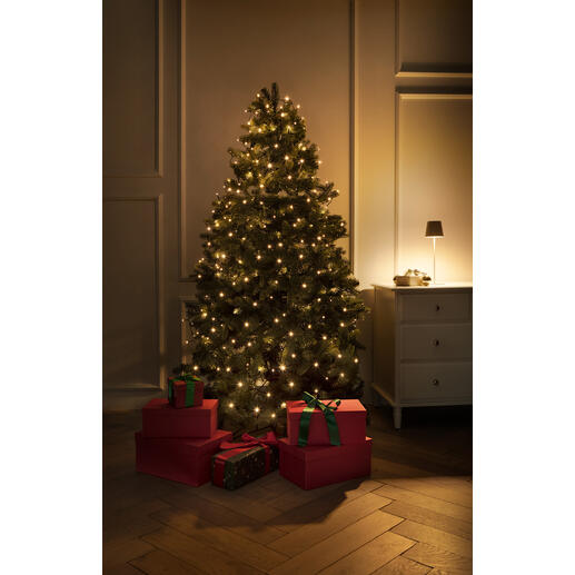Sapin de Noël illuminé avec des cadeaux et une lumière chaleureuse dans une pièce élégante.