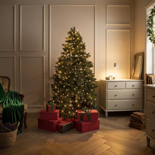 Sapin de Noël illuminé avec des cadeaux et une lumière chaleureuse dans une pièce élégante.