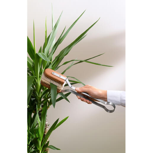Brosse à feuilles utilisée sur une plante