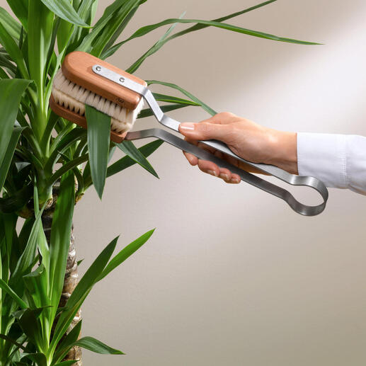 Brosse à feuilles utilisée sur une plante