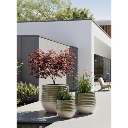 Trois pots en céramique sont placés sur une terrasse avec des plantes.