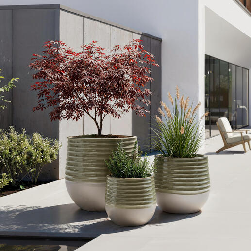 Trois pots en céramique sont placés sur une terrasse avec des plantes.