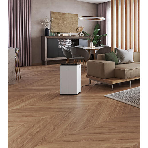 Lukas Pro dans un intérieur moderne avec un sol en bois et des plantes.