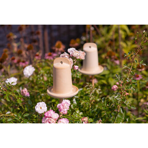 Trois maisons à insectes 3-en-1 décoratives dans le jardin entre des fleurs de rose.