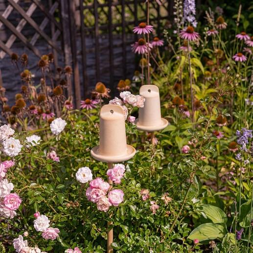 Trois maisons à insectes 3-en-1 décoratives dans le jardin entre des fleurs de rose.