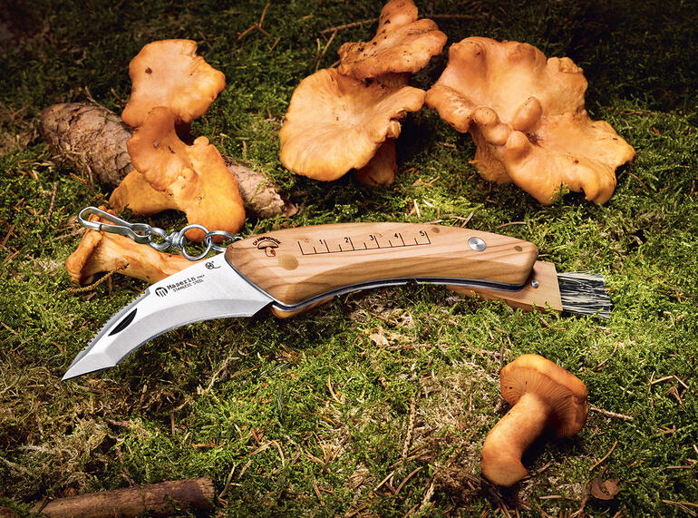 Couteau à champignons Maserin avec manche en bois sur le sol forestier