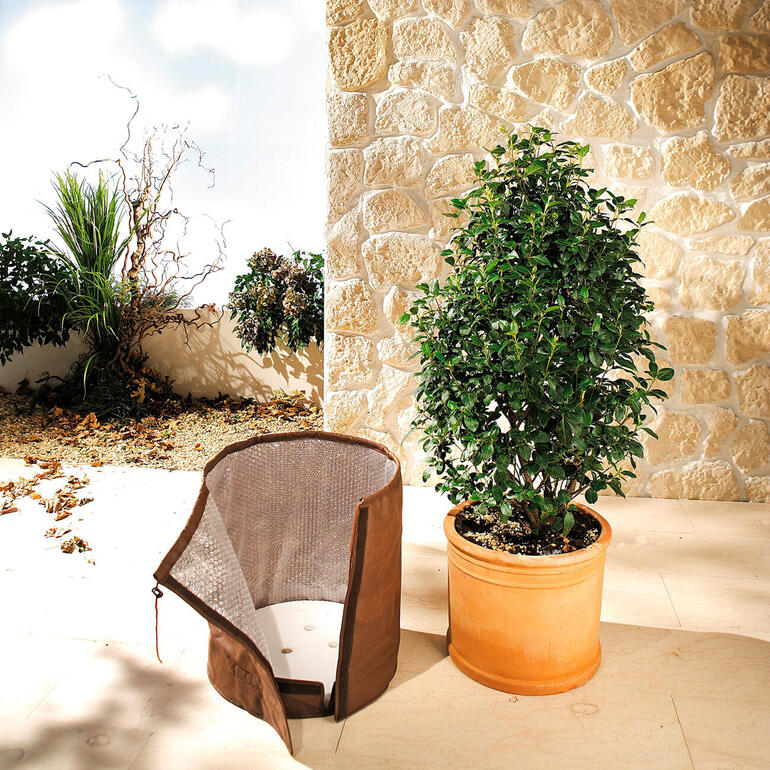Une plaque de polystyrène de 4 cm d’épaisseur avec système de drainage met vos plantes à l’abri du gel émanant du sol et de l’eau stagnante. Manteau de pot beige autour d'un pot avec une plante à feuilles persistantes.
