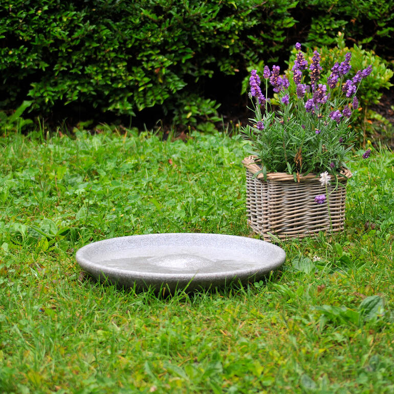 L’îlot central est également très prisé : pour une pause bien méritée ou pour un bain agréable. Abreuvoir à côté d'un pot de fleurs sur l'herbe.
