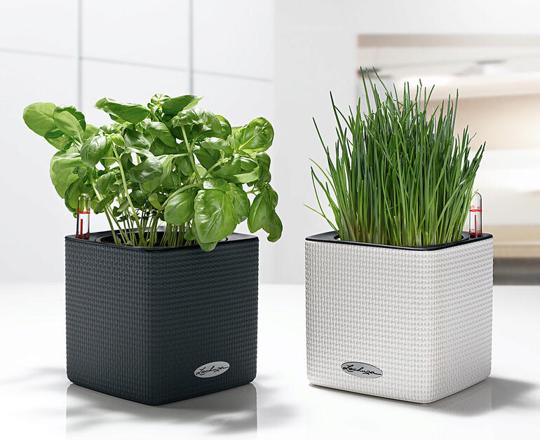 Deux pots à herbes auto-arrosants, un noir et un blanc.