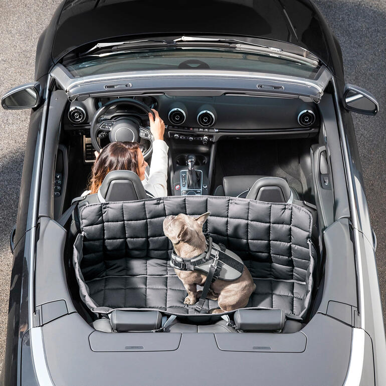 Couverture pour chien de voiture avec un chien dans un cabriolet