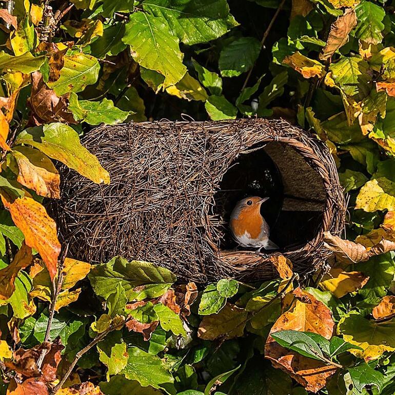 Nid d'oiseau en matériaux naturels parmi des feuilles colorées.