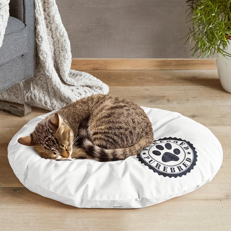 Coussin pour chats Chat dormant sur un coussin rond et blanc.