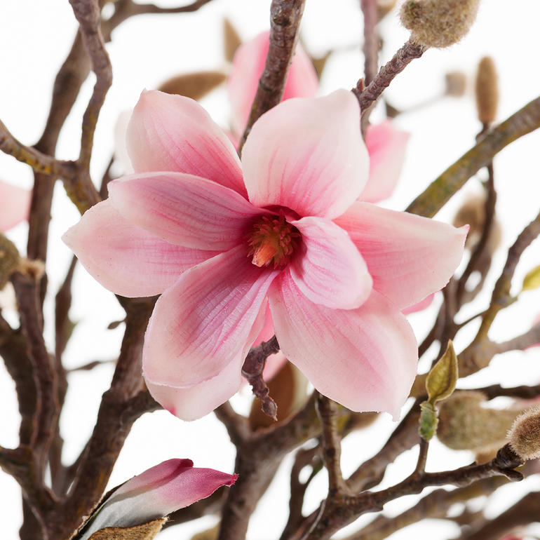 D’un réalisme frappant en apparence et au toucher : on dirait des fleurs naturelles. Branche de magnolia avec des fleurs roses sur fond blanc