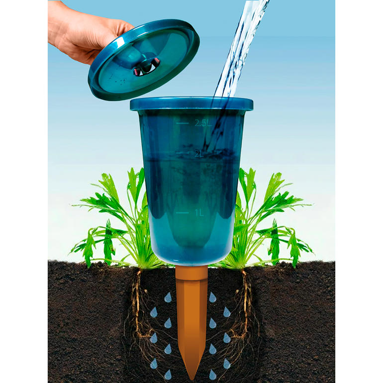 Hydro Cup outil d'arrosage avec de l'eau au-dessus d'une plante.