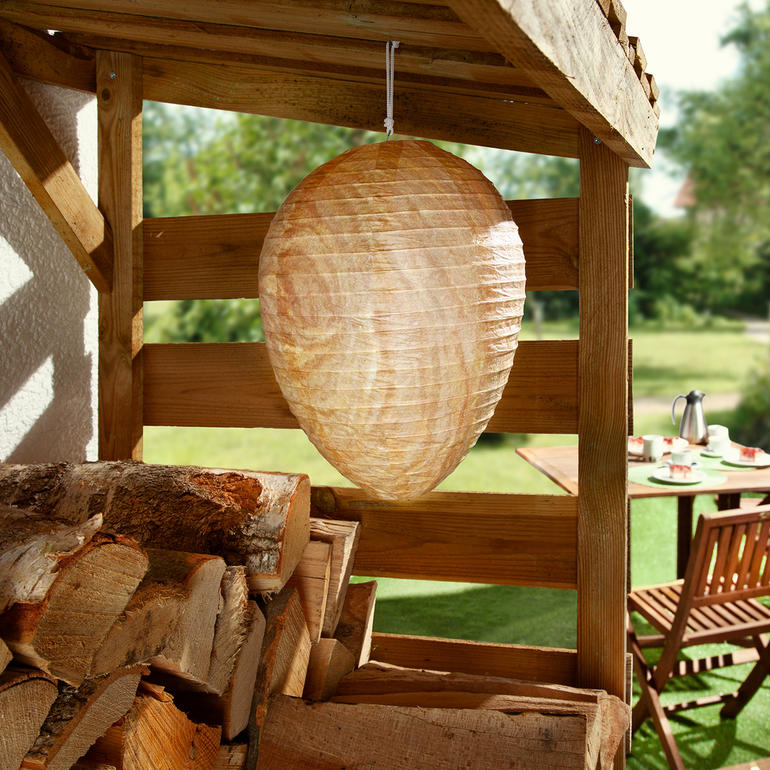 Reproduction de nids de guêpes suspendue sous une structure en bois dans le jardin, entourée de plantes.